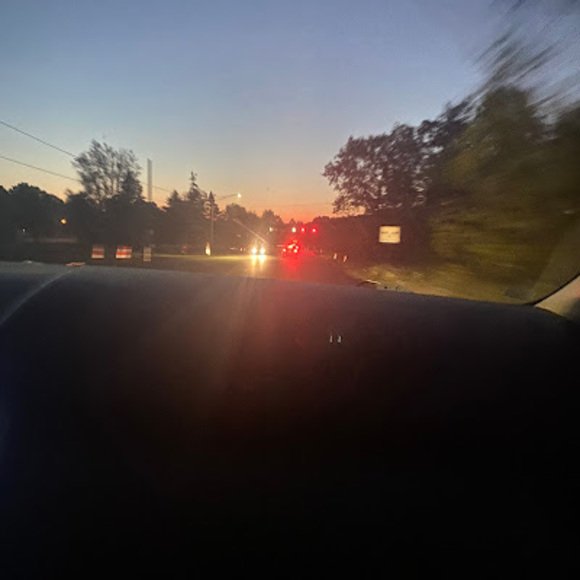 Meet your Posher, Zoey - Picture 1 of 1